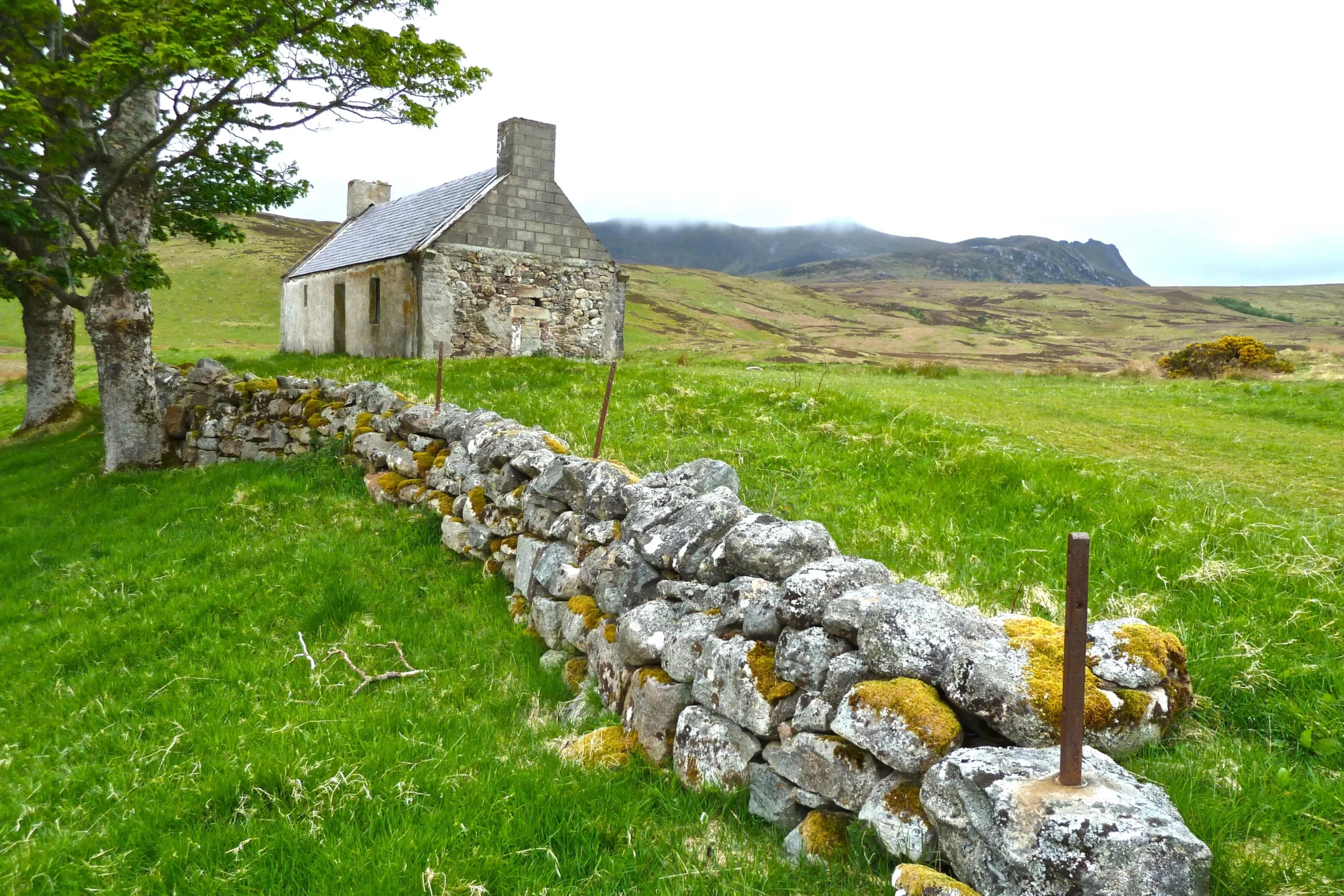 Are Solar Panels Worth It in Ireland? (2023 Review & FAQs)